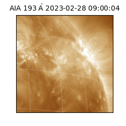 saia - 2023-02-28T09:00:04.843000