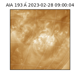 saia - 2023-02-28T09:00:04.843000