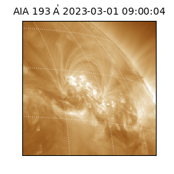 saia - 2023-03-01T09:00:04.843000