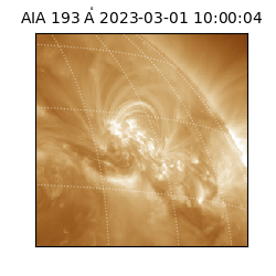 saia - 2023-03-01T10:00:04.843000