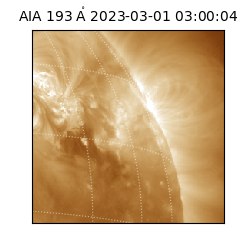 saia - 2023-03-01T03:00:04.843000