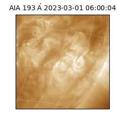 saia - 2023-03-01T06:00:04.843000