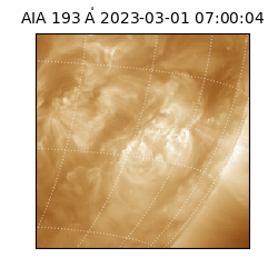 saia - 2023-03-01T07:00:04.843000