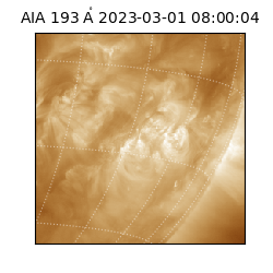 saia - 2023-03-01T08:00:04.843000