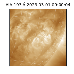 saia - 2023-03-01T09:00:04.843000