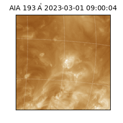saia - 2023-03-01T09:00:04.843000