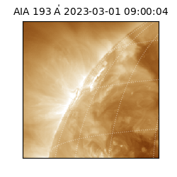 saia - 2023-03-01T09:00:04.843000