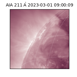 saia - 2023-03-01T09:00:09.626000