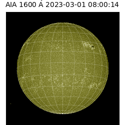 saia - 2023-03-01T08:00:14.126000