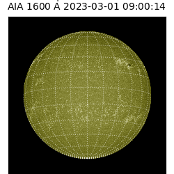 saia - 2023-03-01T09:00:14.126000