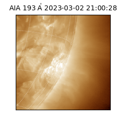saia - 2023-03-02T21:00:28.846000