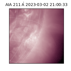 saia - 2023-03-02T21:00:33.626000