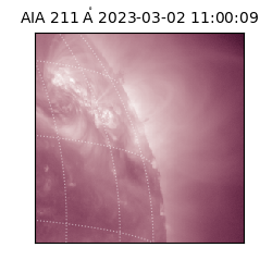 saia - 2023-03-02T11:00:09.623000