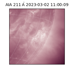saia - 2023-03-02T11:00:09.623000