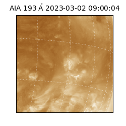 saia - 2023-03-02T09:00:04.842000
