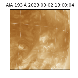 saia - 2023-03-02T13:00:04.843000