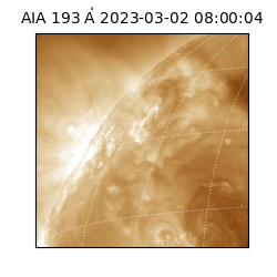 saia - 2023-03-02T08:00:04.843000