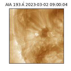 saia - 2023-03-02T09:00:04.842000