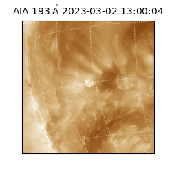 saia - 2023-03-02T13:00:04.843000