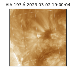 saia - 2023-03-02T19:00:04.843000