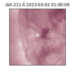 saia - 2023-03-02T01:00:09.625000