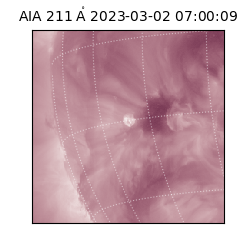 saia - 2023-03-02T07:00:09.626000