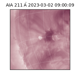 saia - 2023-03-02T09:00:09.626000