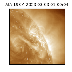 saia - 2023-03-03T01:00:04.846000
