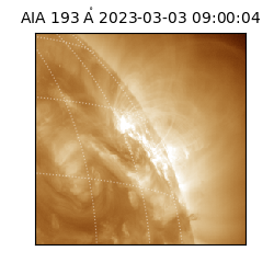 saia - 2023-03-03T09:00:04.843000