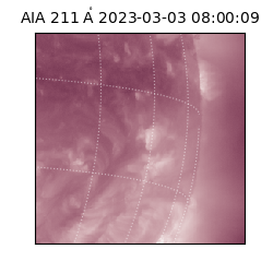 saia - 2023-03-03T08:00:09.626000