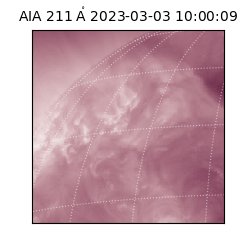 saia - 2023-03-03T10:00:09.626000