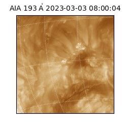 saia - 2023-03-03T08:00:04.843000
