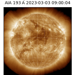 saia - 2023-03-03T09:00:04.843000