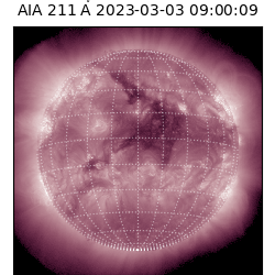 saia - 2023-03-03T09:00:09.626000
