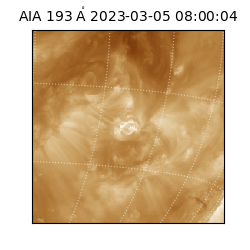 saia - 2023-03-05T08:00:04.843000