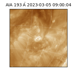 saia - 2023-03-05T09:00:04.835000