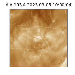saia - 2023-03-05T10:00:04.843000