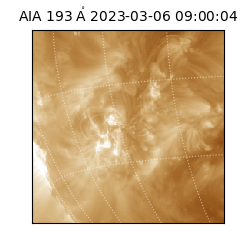 saia - 2023-03-06T09:00:04.843000