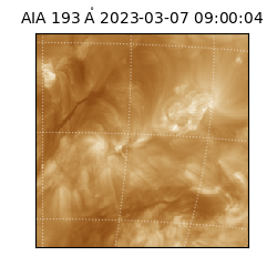 saia - 2023-03-07T09:00:04.843000