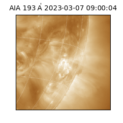 saia - 2023-03-07T09:00:04.843000
