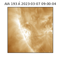 saia - 2023-03-07T09:00:04.843000