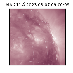 saia - 2023-03-07T09:00:09.626000
