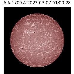 saia - 2023-03-07T01:00:28.734000