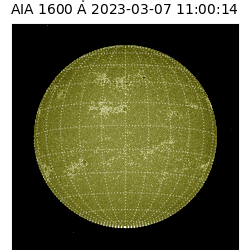 saia - 2023-03-07T11:00:14.125000