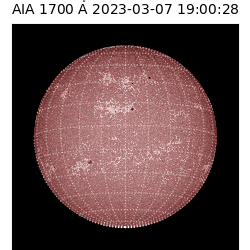 saia - 2023-03-07T19:00:28.745000