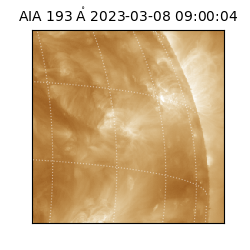 saia - 2023-03-08T09:00:04.843000