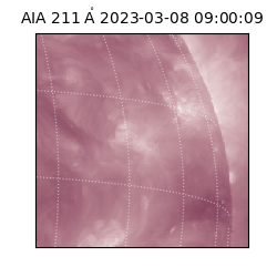 saia - 2023-03-08T09:00:09.630000