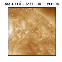 saia - 2023-03-08T09:00:04.843000