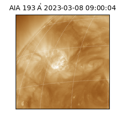 saia - 2023-03-08T09:00:04.843000