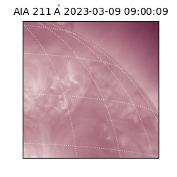 saia - 2023-03-09T09:00:09.622000